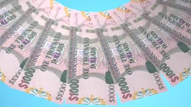 Mükemmel Döngü Tasarımı Guyana 'nın 1000 Guyanese Doları Kuraklığı