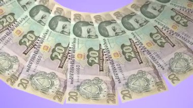 Hoş Döngü Tasarımı: Honduras 'ın 20 Lempira Curency