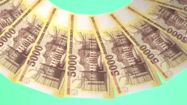 Rafine Döngü Tasarımı Macaristan 'ın 5000 Forint Curency