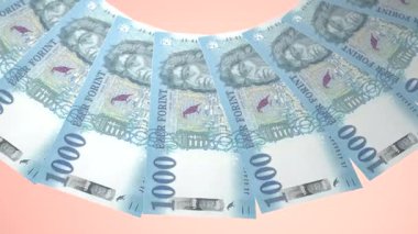Rafine Döngü Tasarımı Macaristan 'ın 1000 Forint Curency