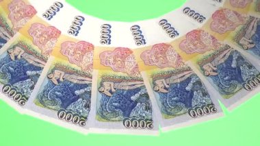 Romantik Döngü Tasarımı 2000 Krona İzlanda Curency