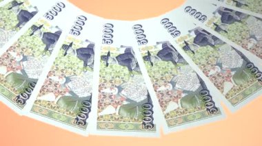 Romantik Döngü Tasarımı: İzlanda 'nın 5000 Krona Kuraklığı
