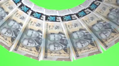 Kurnaz Döngü Tasarımı 2000 Dolarlık Jamaika Curency