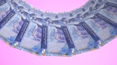 Ürdün 'ün Bozuk Döngü Tasarımı 10 Dinar Curency