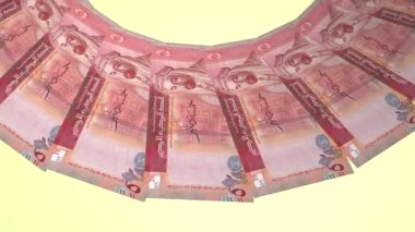 Ürdün 'ün Bozuk Döngü Tasarımı 5 Dinar Curency