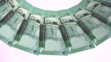 Ürdün 'ün Çürük Döngü Tasarımı 20 Dinar Curency