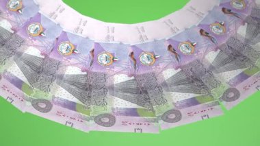 Büyüleyici Döngü Tasarımı Kuveyt 'in 5 Dinar Curency