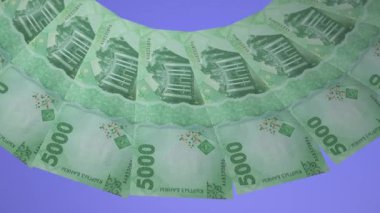 Büyüleyici Döngü Tasarımı Kırgızistan 'ın 5000 Som İyileştiriciliği