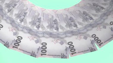 Büyüleyici Döngü Tasarımı Kırgızistan 'ın 1000 Som İyileştiriciliği