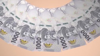 Büyüleyici Döngü Tasarımı Kırgızistan 'ın 1000 Som İyileştiriciliği