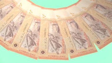 Malezya 'nın Çembersel Tasarımı 20 Ringgit Curency