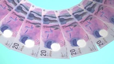 Dahice Döngü Tasarımı 20 Rupiye Maldivler Kuraklığı