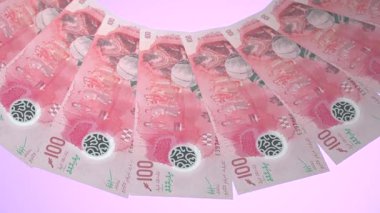 Dahice Döngü Tasarımı: Maldivler 'in 100 Rupi Kuraklığı