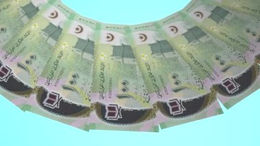 Yükseltilmiş Döngü Tasarımı Moritanya 'nın 100 Ouguiya Curency