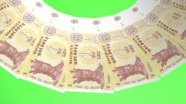 Moldova 'nın Fantezi Döngü Tasarımı 1 Leu Curency