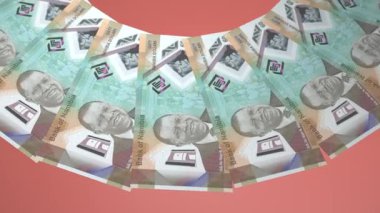 Etkin Döngü Tasarımı Namibya 'nın 60 Dolarlık Curency