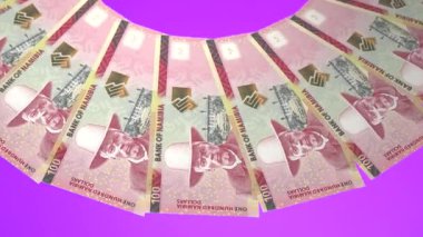Etkin Döngü Tasarımı Namibya 'nın 100 Dolarlık Curency