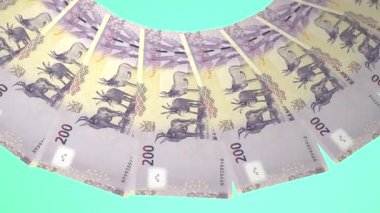 Etkin Döngü Tasarımı Namibya 'nın 200 Dolarlık Curency