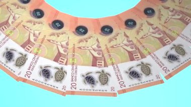 Uyumlu Döngü Tasarımı Nikaragua 'nın 20 Cordoba Curency