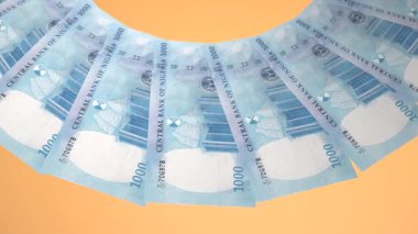 Zamansız Döngü Tasarımı Nijerya 'nın 1000 Frank Kuraklığı