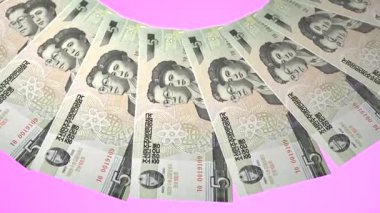 Işıl ışıl döngü tasarımı Kuzey Kore 'nin 5 Won Curency