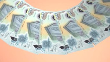 Nefes kesici Döngü Tasarımı Papua Yeni Gine 'nin 10 Kina Curency