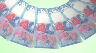 Soylu Döngü Tasarımı: Peru 'nun 100 Nuevo Sol İyileştirmesi