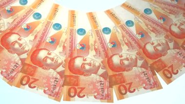 Süslü Döngü Tasarımı Filipinlerin 20 Peso Curency