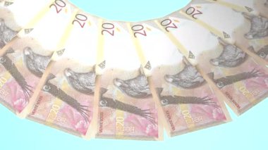 Noble Looping Design 20 Nuevo Sol Curency of Peru