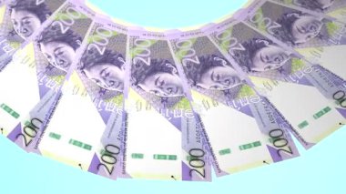 Asil Döngü Tasarımı: Peru 'nun 200 Nuevo Sol İyileştirmesi