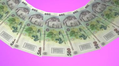 Romanya 'nın Zarif Döngü Tasarımı 500 Leu Curency