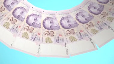 Yiğit Döngü Tasarımı Singapur 'un 2 Dolarlık Curency