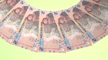 Şiirsel Döngü Tasarımı 2 Leone Sierra Leone Curency