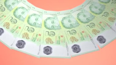 Yiğit Döngü Tasarımı Singapur 'un 5 Dolarlık Curency