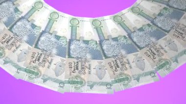 Hassas Döngü Tasarımı 10 Rupi Seyşeller Kuraklığı