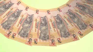 Şiir Döngüsü Tasarımı Sierra Leone 'nin 20 Leone Curency' si