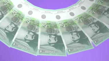 Sırbistan 'ın Manyetik Döngü Tasarımı 20 Dinar Curency