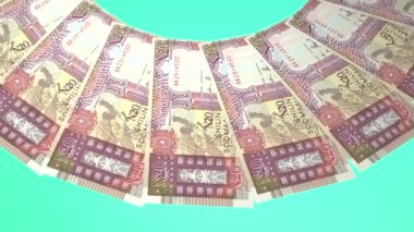 Mistik Döngü Tasarımı 20 Şilin Somali Curency