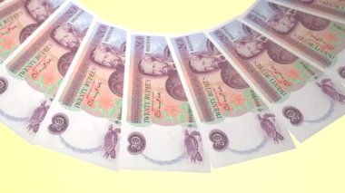 Hassas Döngü Tasarımı Seyşeller 'in 20 Rupi Curency