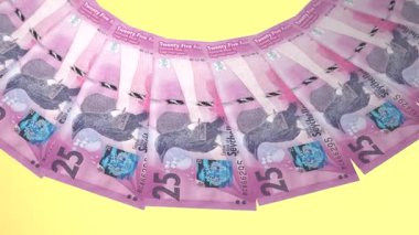 Hassas Döngü Tasarımı 25 Rupi Seyşeller Kuraklığı