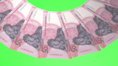 Şanlı Döngü Tasarımı Güney Afrika 'nın 50 Rand Curency