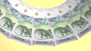 Sırbistan 'ın Manyetik Döngü Tasarımı 5 bin Dinar Curency