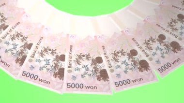 Ethereal Looping Design 5000 Won Güney Kore S.K. Curency Kazandı