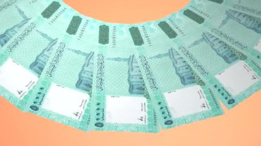 Mistik Döngü Tasarımı: Somali 'nin 50.000 Şilin Kuraklığı