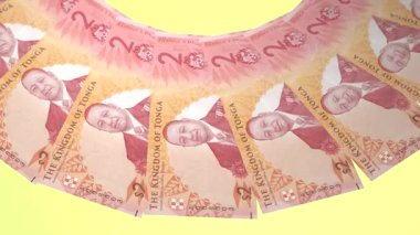 güzel dünya para birimi animasyonu