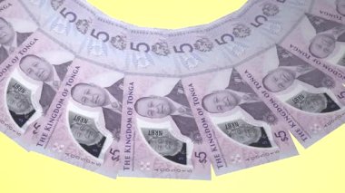 güzel dünya para birimi animasyonu