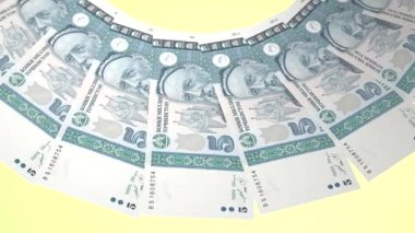 beautiful world currency animation
