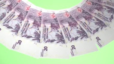 güzel dünya para birimi animasyonu