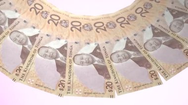 güzel dünya para birimi animasyonu