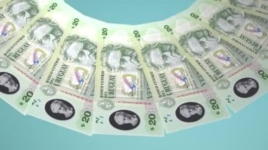 güzel dünya para birimi animasyonu